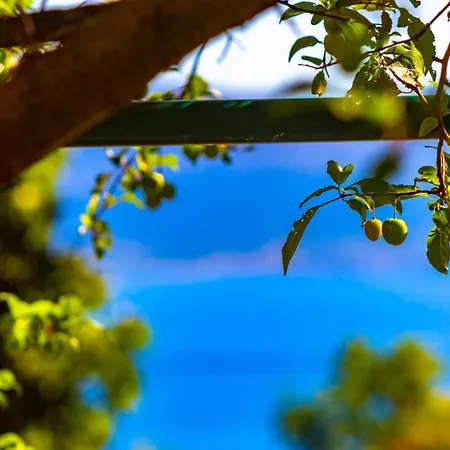 Vacation Grill & Chill With 350m2 Garden With Bbq Apartment Novi Vinodolski