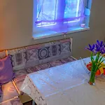 Vacation Grill & Chill With 350m2 Garden With Bbq Apartament Novi Vinodolski