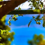 Vacation Grill & Chill With 350m2 Garden With Bbq Apartament Novi Vinodolski