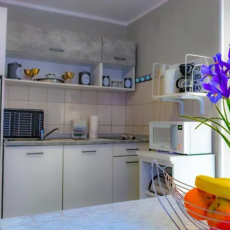 Vacation Grill & Chill With 350m2 Garden With Bbq Apartment Novi Vinodolski